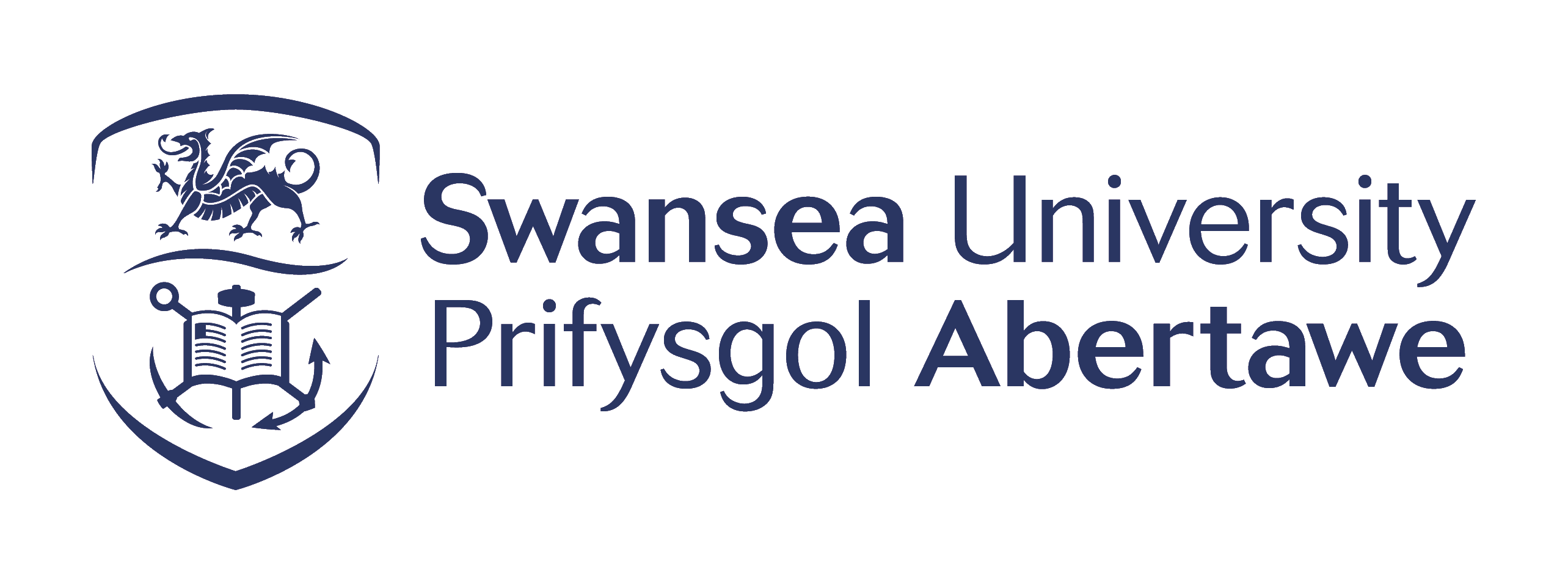 Swansea University